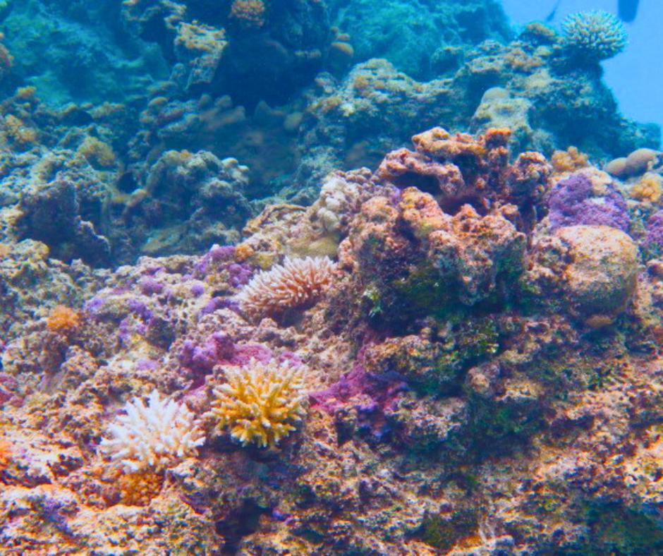 Resort Tava'E Amuri Bagian luar foto