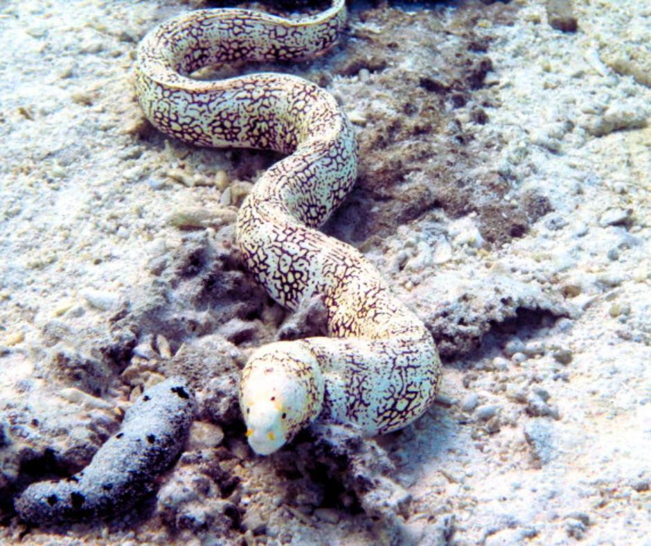 Resort Tava'E Amuri Bagian luar foto