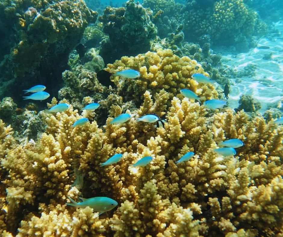 Resort Tava'E Amuri Bagian luar foto