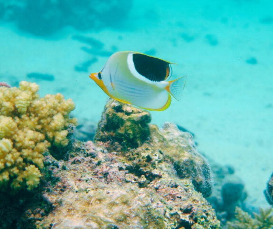 Resort Tava'E Amuri Bagian luar foto
