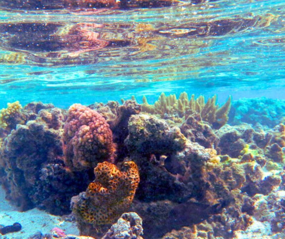 Resort Tava'E Amuri Bagian luar foto