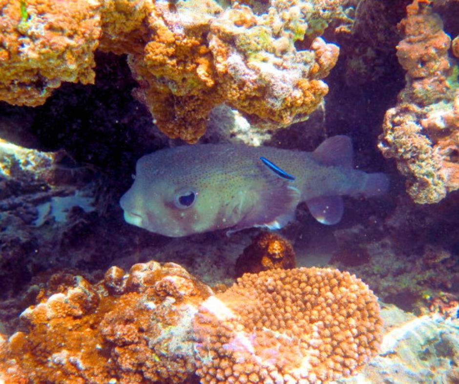 Resort Tava'E Amuri Bagian luar foto
