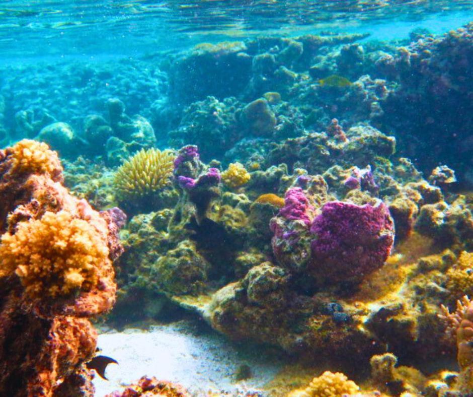 Resort Tava'E Amuri Bagian luar foto