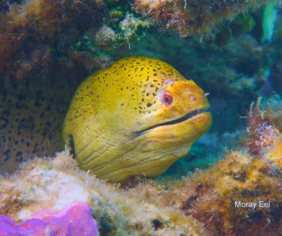 Resort Tava'E Amuri Bagian luar foto
