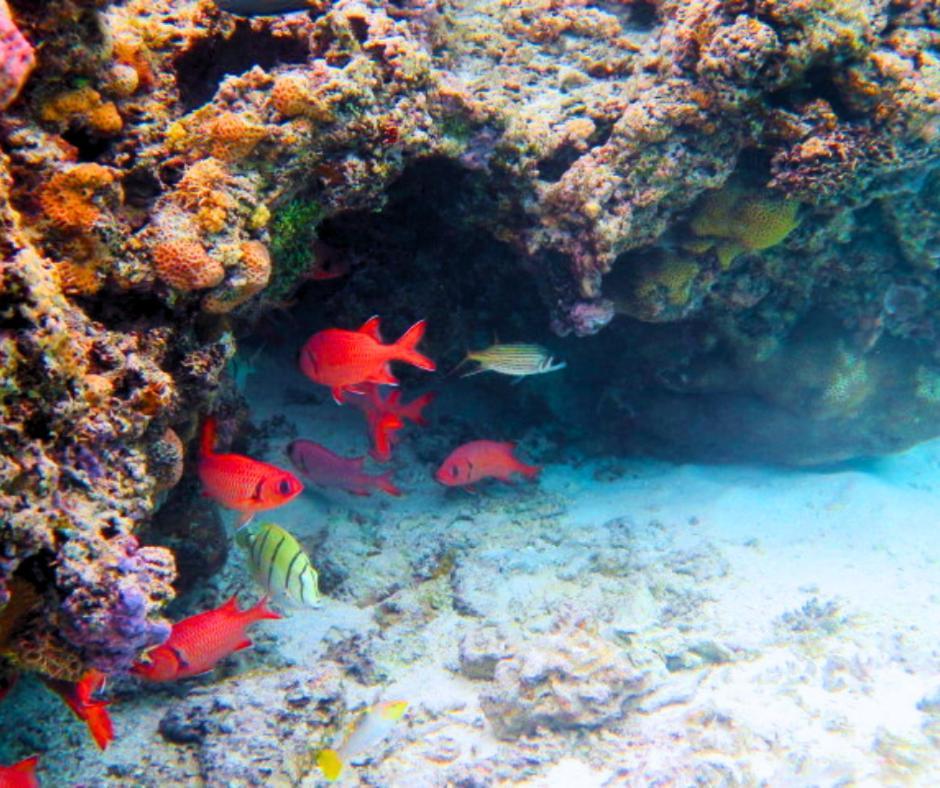 Resort Tava'E Amuri Bagian luar foto