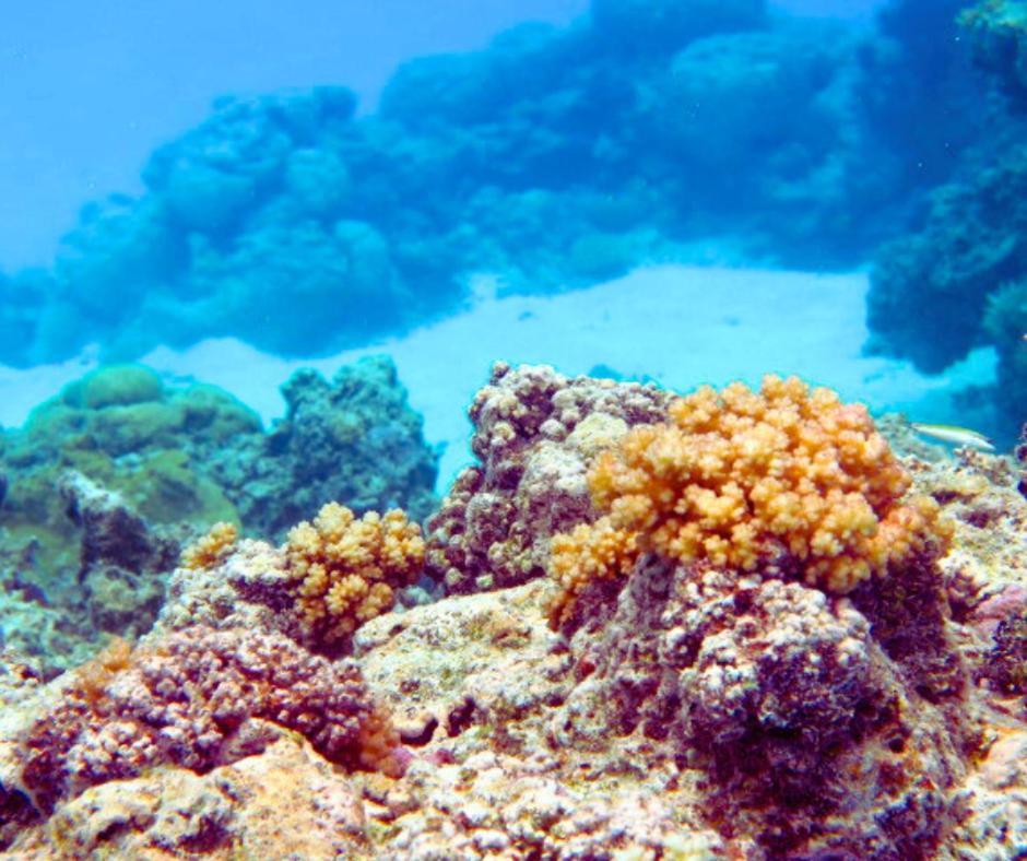 Resort Tava'E Amuri Bagian luar foto